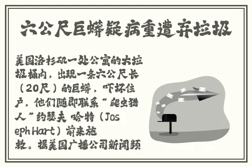 凌晨三点看的视频